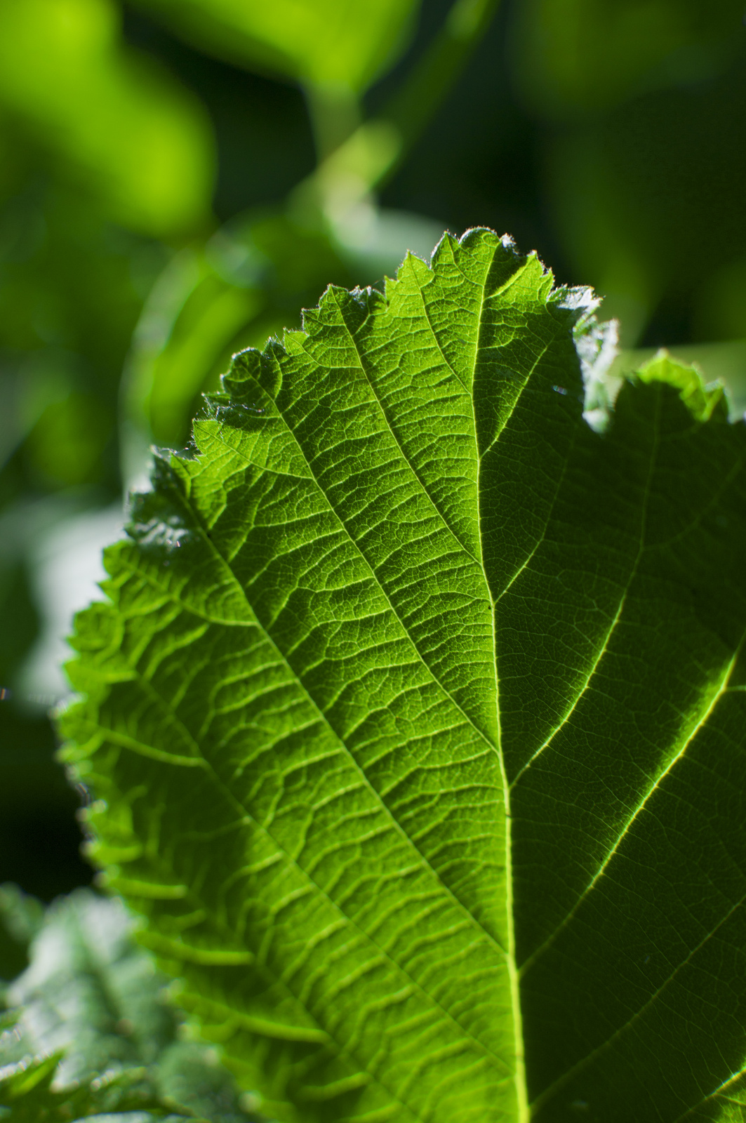 20DU7646   Arbeitskopie 2